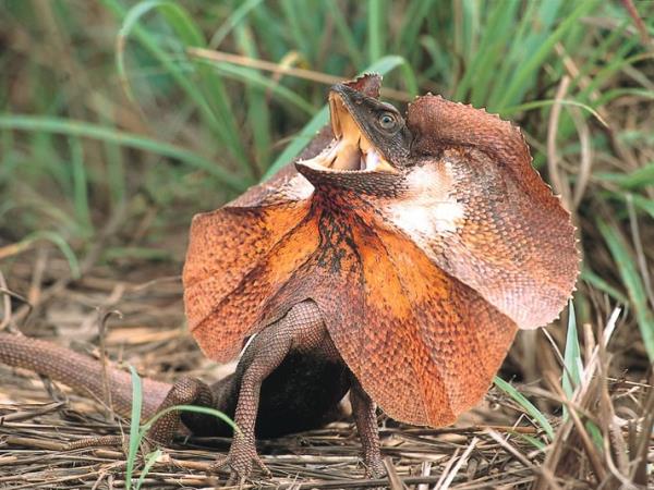 Kakadu and Arnhem Land tours, Australia