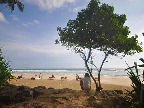 Wild yoga and surf holiday, Sri Lanka