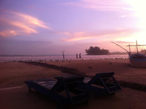 Wild yoga and surf holiday, Sri Lanka
