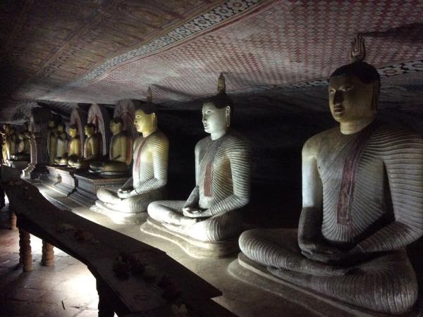 Yoga, surfing and culture holiday, Sri Lanka 14 days
