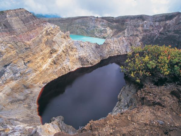 Komodo and Flores holiday in Indonesia