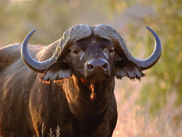 Kwa Zulu Natal self drive South Africa holiday