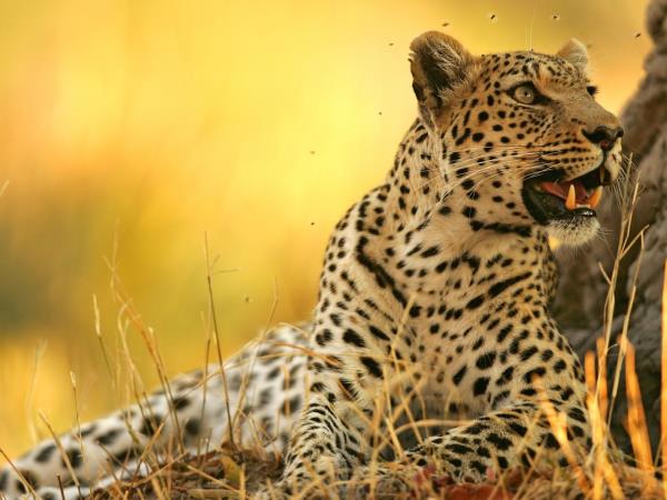 Kwa Zulu Natal self drive South Africa holiday