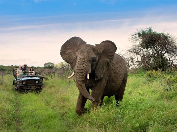 Kwa Zulu Natal self drive South Africa holiday