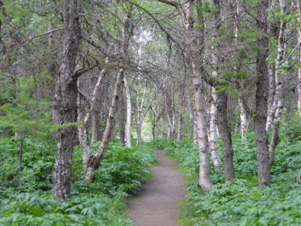 Myvatn Marathon running holiday, Iceland