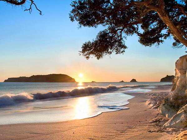 New Zealand North Island tour, 4 days