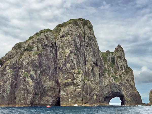New Zealand North Island tour, 4 days