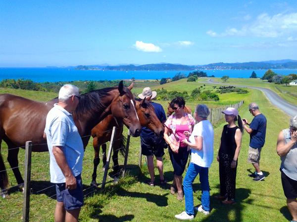 New Zealand North Island tour, 4 days