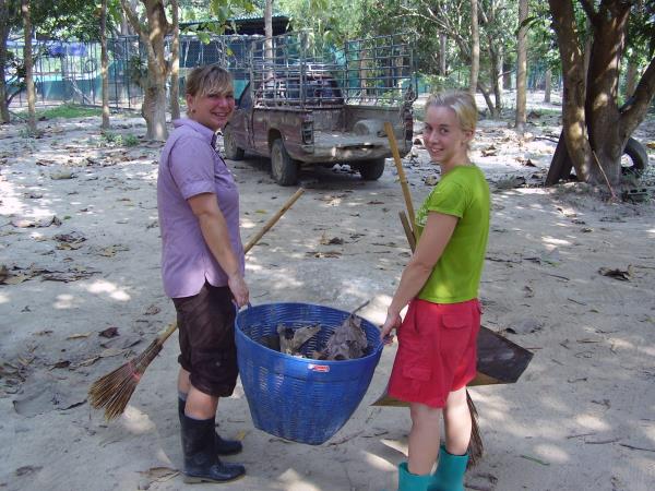 Volunteering in Thailand, wildlife rescue centre