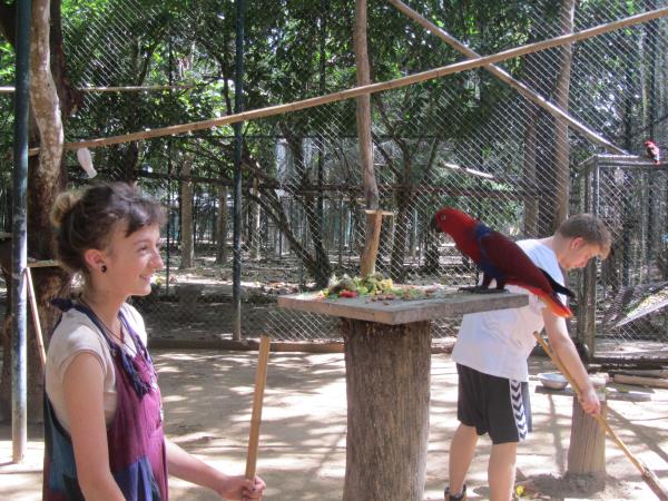 Volunteering in Thailand, wildlife rescue centre