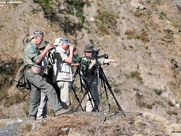 India bird watching holiday in the Himalayas