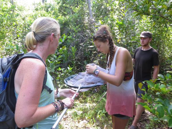 Madagascar conservation volunteering holiday