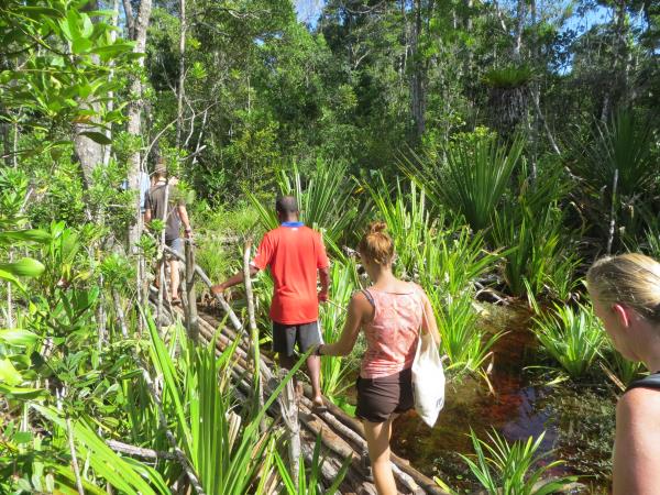 Madagascar conservation volunteering holiday