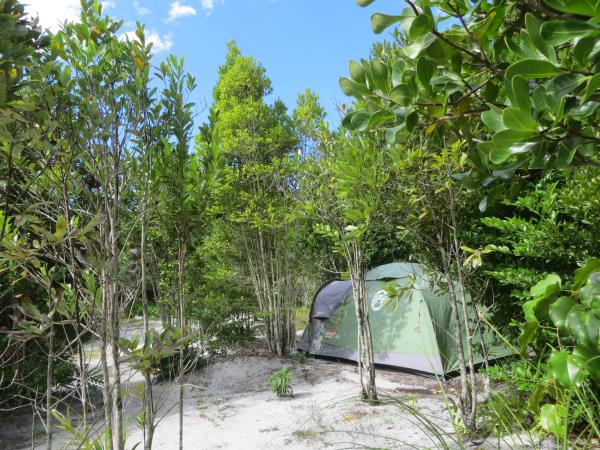 Madagascar conservation volunteering holiday