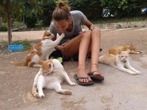 Volunteer with rescue dogs and cats in Thailand