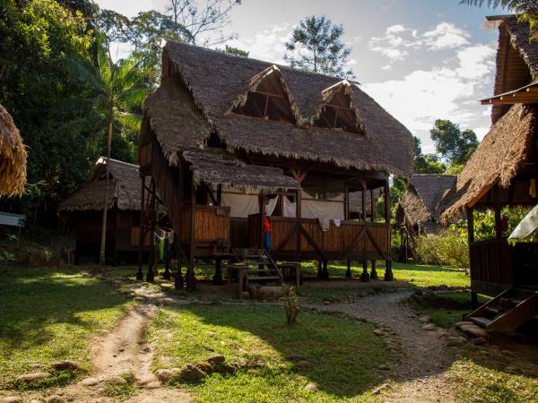 Jungle conservation & research, Peru