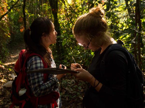 Jungle conservation & research, Peru