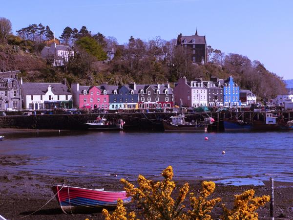 Mull wildlife holiday in Scotland