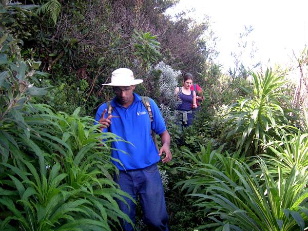 Walking and cycling holiday in Kerala, India