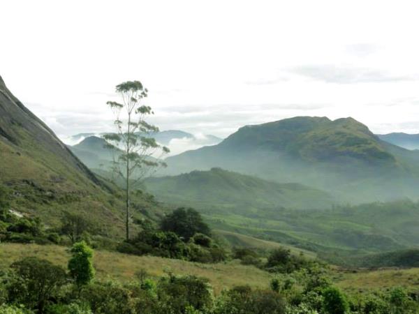 Walking and cycling holiday in Kerala, India