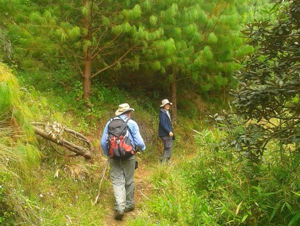 Walking and cycling holiday in Kerala, India