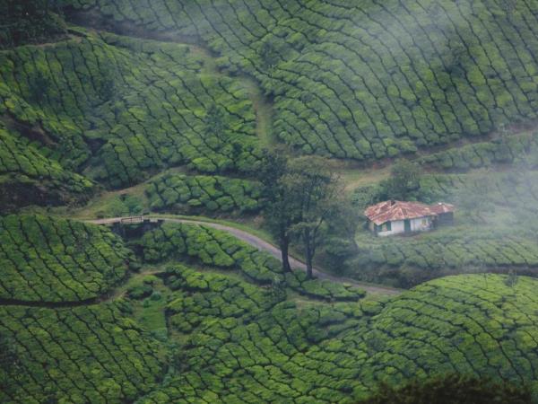 Kerala tailor made holiday