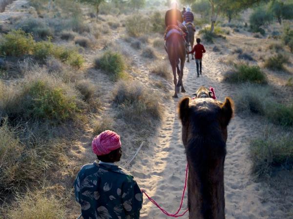Rajasthan and Golden Triangle tour by train