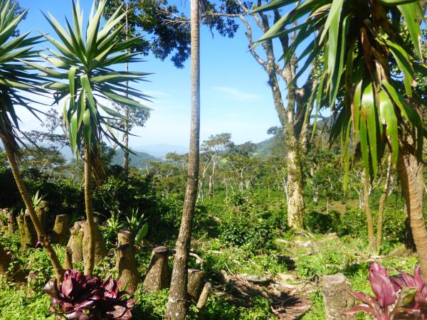 Nicaragua holidays, tailor made tour