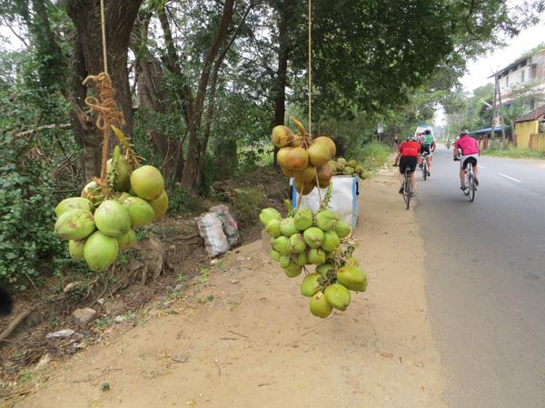 Southern India cycling holiday, tailor made