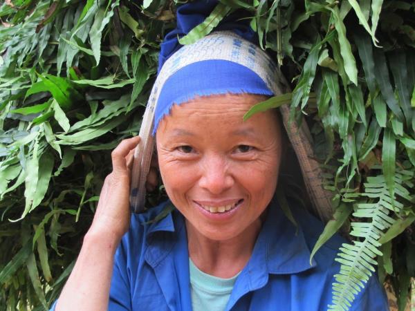 North Vietnam 3 day trek, Mai Chau & Pu Luong