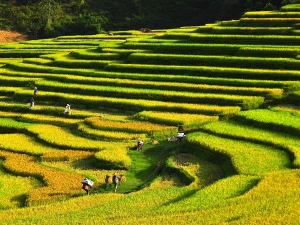North Vietnam 3 day trek, Mai Chau & Pu Luong
