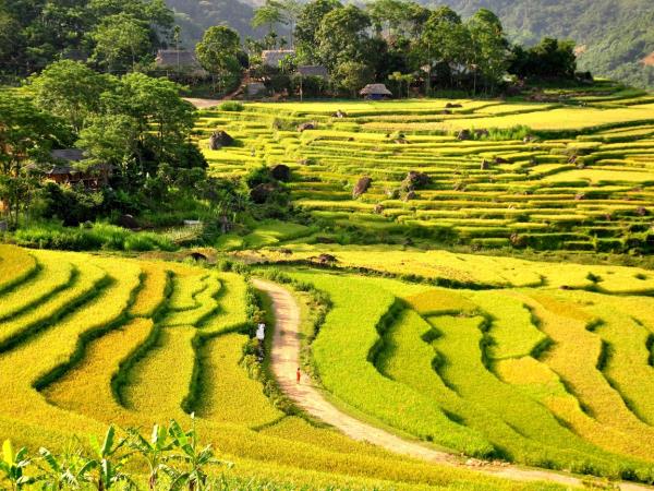 Vietnam hill tribe villages trekking holiday