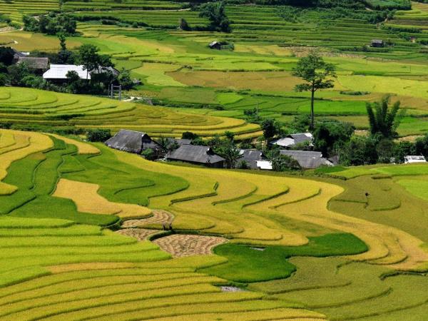 Vietnam Northern Highlands tour, 6 days