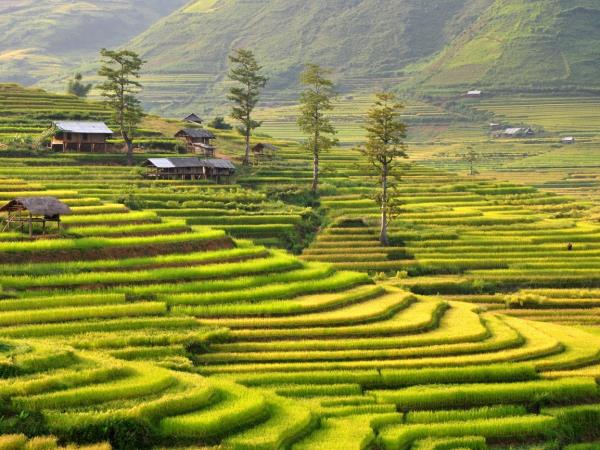 Vietnam Northern Highlands tour, 6 days