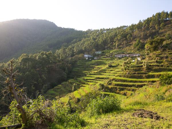 Indian Himalayas trekking holiday