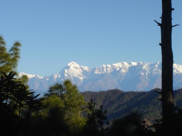 Binsar to Jageshwar walking holiday, India