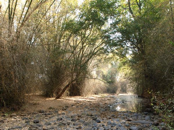 Kerala walking, culture & wildlife holiday, India