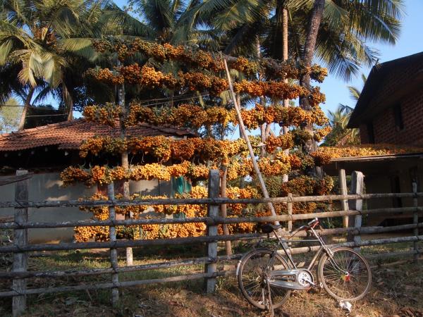Karnataka holiday in Southern India