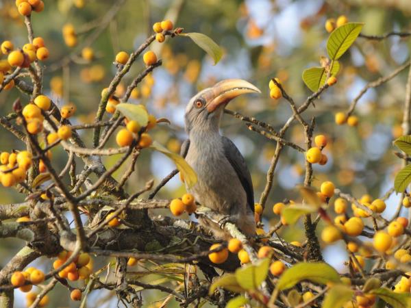 Karnataka holiday in Southern India