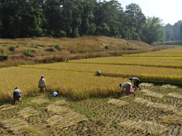 Karnataka holiday in Southern India