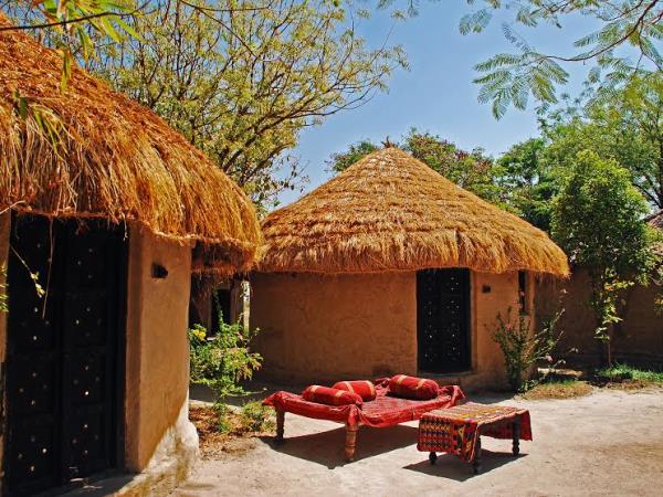 Gujarat holidays, Asiatic Lions, Blackbuck & Wild Asses