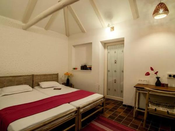 Gujarat holidays, Asiatic Lions, Blackbuck & Wild Asses