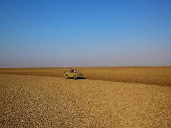 Gujarat holidays, Asiatic Lions, Blackbuck & Wild Asses