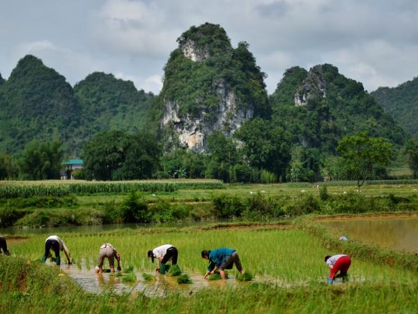 Vietnam, north east cycling holiday
