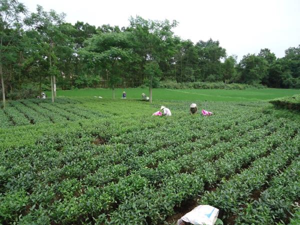 Vietnam, north east cycling holiday