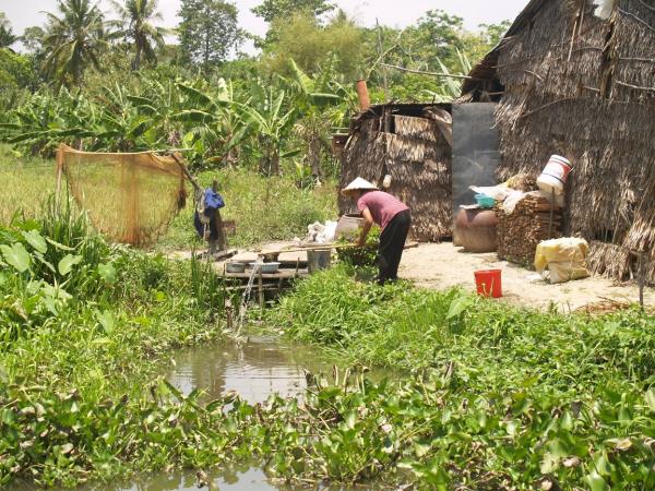 Mekong Delta cycling tours, 3 days