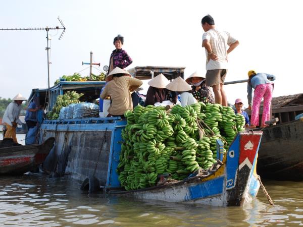 Mekong Delta cycling tours, 3 days