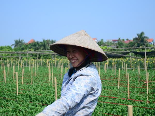 Vietnam tours, tailor made