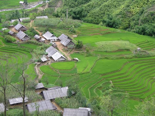 Vietnam tours, tailor made