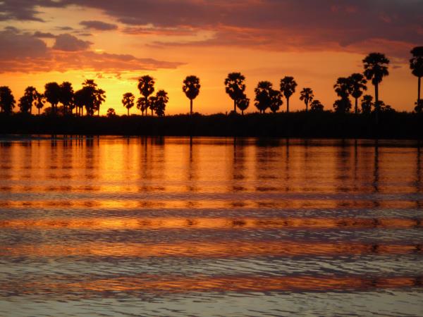 Selous safari & Mafia Islands diving holiday